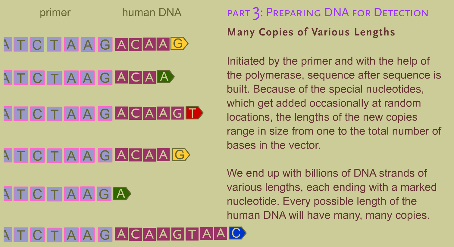Sequence for yourself